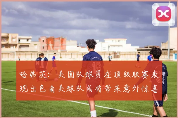哈弗茨：美国队球员在顶级联赛表现出色南美球队或将带来意外惊喜