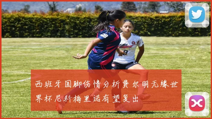 西班牙国脚伤情分析费尔明无缘世界杯尼科梅里诺有望复出