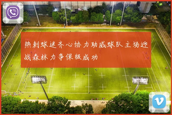 热刺球迷齐心协力助威球队主场迎战森林力争保级成功