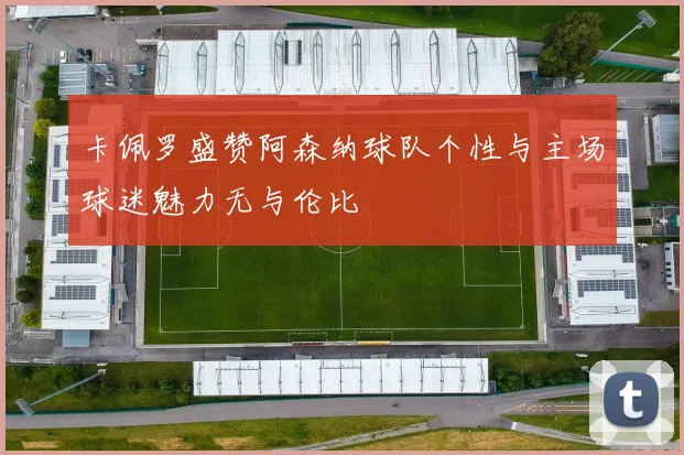 卡佩罗盛赞阿森纳球队个性与主场球迷魅力无与伦比
