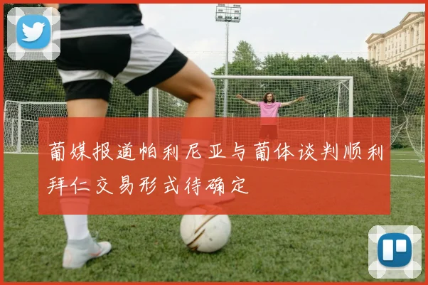 葡媒报道帕利尼亚与葡体谈判顺利拜仁交易形式待确定